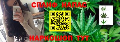стаф Севастополь
