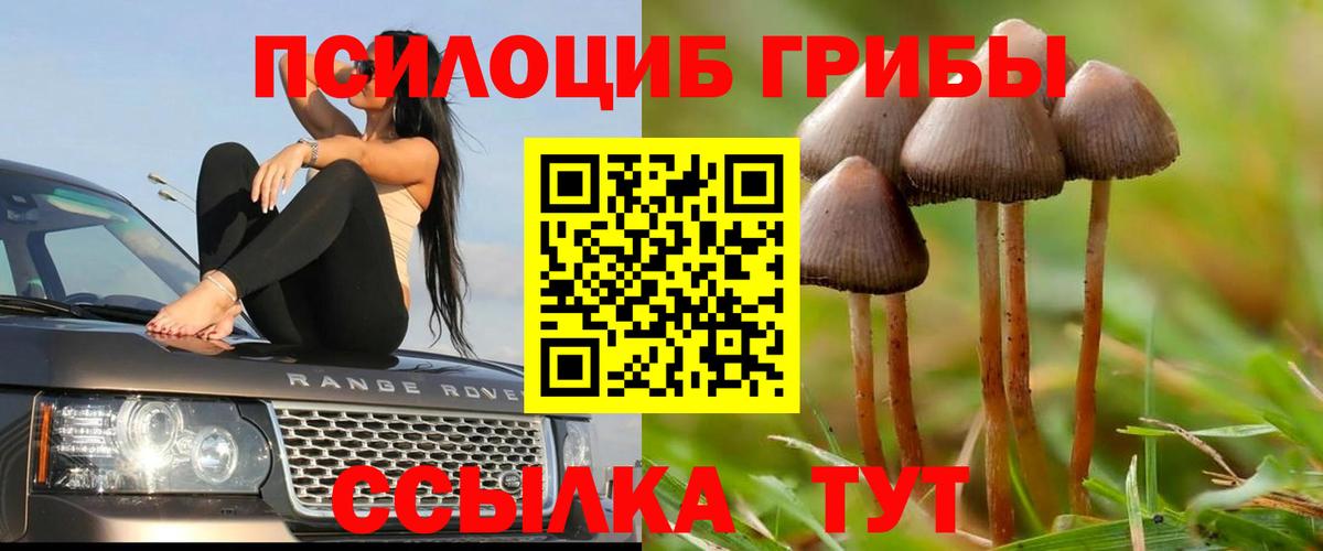 Галлюциногенные грибы GOLDEN TEACHER  Галлюциногенные грибы Psilocybine cubensis  Вход с VPN  Нижневартовск 